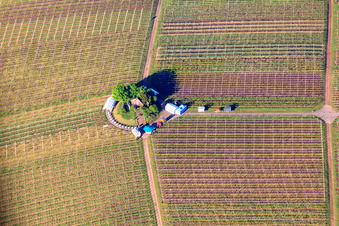 Easter service in the vineyards at St. Michael's Chapel in Weyher in der Pfalz in the state Rhineland-Palatinate, Germany