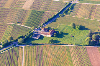 Oliver Stiess Wine Commission - Winery GmbH in Frankweiler in the state Rhineland-Palatinate, Germany