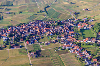 Wine village in the morning from the north in Frankweiler in the state Rhineland-Palatinate, Germany