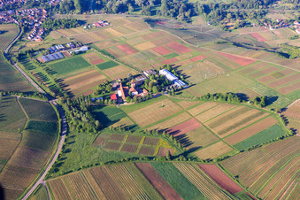 Aerial view of Viticulture Research Institute, JKI Institute for Grape Breeding Geilweilerhof in Siebeldingen in the state Rhineland-Palatinate, Germany