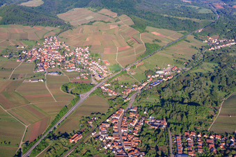 Wine village in the morning from the north in Birkweiler in the state Rhineland-Palatinate, Germany