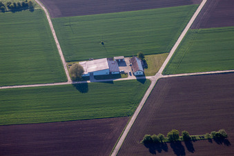 Drone recording of Billigheim-Ingenheim in the state Rhineland-Palatinate, Germany