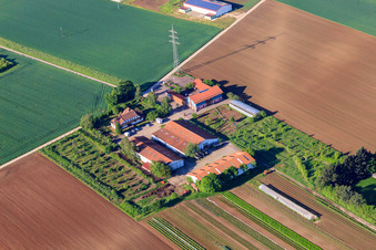 Aerial photograpy of Village market Schoßberghof by Michael Groß Agriculture in Minfeld in the state Rhineland-Palatinate, Germany