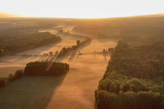 Otterbach lowlands in the morning mist in Kandel in the state Rhineland-Palatinate, Germany from above