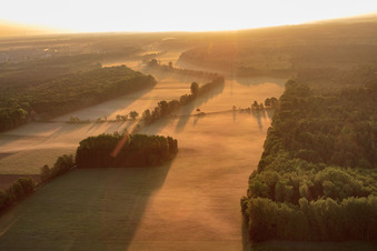 Otterbach lowlands in the morning mist in Kandel in the state Rhineland-Palatinate, Germany out of the air