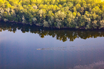 Aerial view of Paddlers on the Saalbach Canal in the district Rheinsheim in Philippsburg in the state Baden-Wuerttemberg, Germany