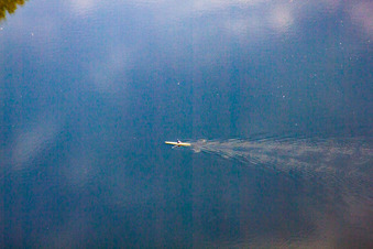 Aerial photograpy of Paddlers on the Saalbach Canal in the district Rheinsheim in Philippsburg in the state Baden-Wuerttemberg, Germany