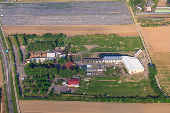 Southern Palatinate Football Golf Park at Adamshof Kandel in Kandel in the state Rhineland-Palatinate, Germany from above
