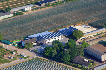 Zapf farm market, fruit and asparagus farm, Zapf farm café in Kandel in the state Rhineland-Palatinate, Germany viewn from the air