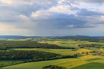 Aerial view of Fields and forests in Brakel in the state North Rhine-Westphalia, Germany