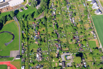 Hexenstieg allotment garden in Höxter in the state North Rhine-Westphalia, Germany