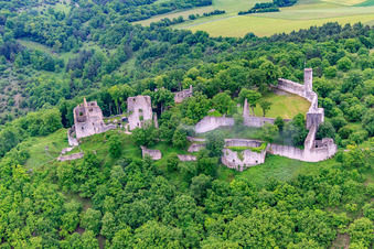 Castle ruins of Homburg near Gössenheim in Gössenheim in the state Bavaria, Germany from above