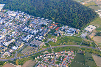 Oblique view of Industrial area on Dietmar-Hopp-Allee with SAP SE in Walldorf in the state Baden-Wuerttemberg, Germany