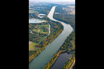 Course of the Rhine between Dettenheim and Hördt in the district Liedolsheim in Dettenheim in the state Baden-Wuerttemberg, Germany
