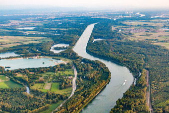 Aerial view of Course of the Rhine between Dettenheim and Hördt in the district Liedolsheim in Dettenheim in the state Baden-Wuerttemberg, Germany
