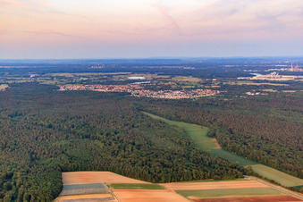 Aerial view of Hintergraben and Dörniggraben border a clearing in the Bienwald in Kandel in the state Rhineland-Palatinate, Germany