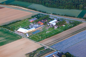 Bird's eye view of Southern Palatinate Football Golf Park at Adamshof Kandel in Kandel in the state Rhineland-Palatinate, Germany