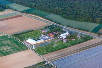 Drone recording of Southern Palatinate Football Golf Park at Adamshof Kandel in Kandel in the state Rhineland-Palatinate, Germany