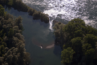 Shore areas of the reinforced by flood protection dam riverbed course old rhine in the Bremengrund in the district Neuburgweier in Au am Rhein in the state Baden-Wurttemberg