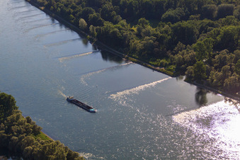 Aerial view of Cargo ship on the Rhine in Neuburg am Rhein in the state Rhineland-Palatinate, Germany