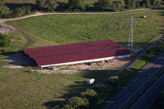 Haras de la Neée in Neewiller-près-Lauterbourg in the state Bas-Rhin, France seen from a drone
