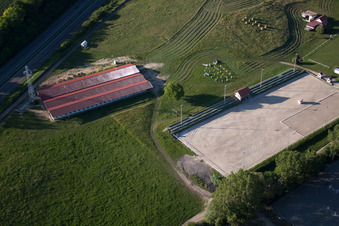 Drone recording of Haras de la Neée in Neewiller-près-Lauterbourg in the state Bas-Rhin, France
