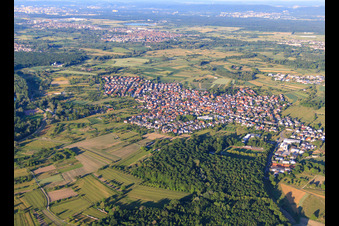 View of the Rhine meadows from the west in Au am Rhein in the state Baden-Wuerttemberg, Germany