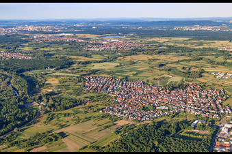 Aerial view of View of the Rhine meadows from the west in Au am Rhein in the state Baden-Wuerttemberg, Germany