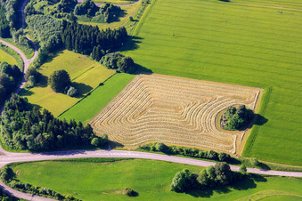 Freshly mown meadow with concentric hay swaths in the district Breithülen in Heroldstatt in the state Baden-Wuerttemberg, Germany