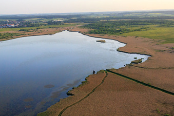 Oblique view of Federsee in Bad Buchau in the state Baden-Wuerttemberg, Germany