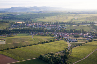 Drone image of District Ingenheim in Billigheim-Ingenheim in the state Rhineland-Palatinate, Germany