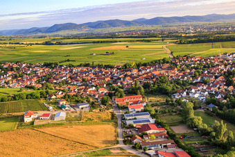 Oblique view of Commercial area in the Gerlachsgärten in Insheim in the state Rhineland-Palatinate, Germany