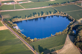 Offendorf in the state Bas-Rhin, France from a drone