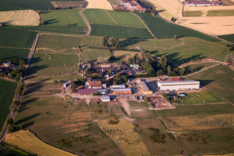Ernst Frieder Hornberger in Willstätt in the state Baden-Wuerttemberg, Germany