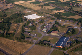 Vacant bunker complex and ammunition depots on the former military training ground ex Militaerflugplatz Lahr jetzt Holz100 Schwarzwald GmbH in Lahr/Schwarzwald in the state Baden-Wurttemberg, Germany