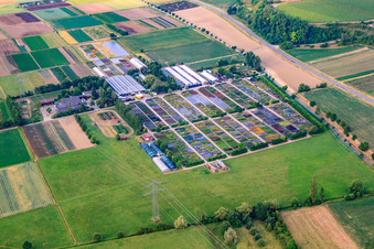 Perennial nursery Gerhard Menton-Enderlin in Eichstetten am Kaiserstuhl in the state Baden-Wuerttemberg, Germany