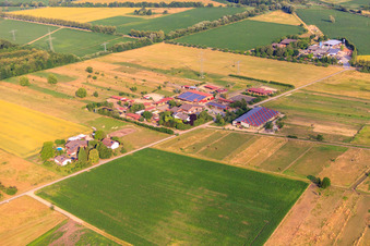 Horse boarding Keller in Gottenheim in the state Baden-Wuerttemberg, Germany