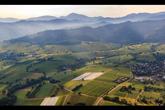 Vineyard landscape on the edge of the Black Forest in the district Britzingen in Müllheim im Markgräflerland in the state Baden-Wuerttemberg, Germany