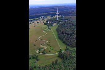 Hoherodskopf summer toboggan run in the district Breungeshain in Schotten in the state Hesse, Germany