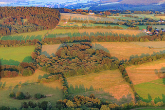 Forest and field on the mountain meadow path in the district Herchenhain in Grebenhain in the state Hesse, Germany