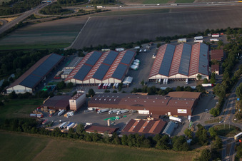 Palatinate Market in the district Dannstadt in Dannstadt-Schauernheim in the state Rhineland-Palatinate, Germany