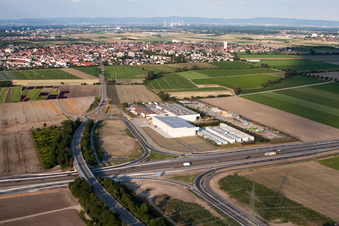 Aerial view of Vegetable Renner V+V in Mutterstadt in the state Rhineland-Palatinate, Germany