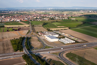 Aerial photograpy of Vegetable Renner V+V in Mutterstadt in the state Rhineland-Palatinate, Germany