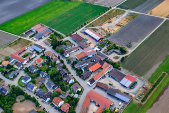 Frankenthal/Ormsheimerhof