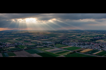 Panorama from the local area and environment in Beindersheim in the state Rhineland-Palatinate