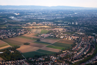 Bird's eye view of Frankenthal in the state Rhineland-Palatinate, Germany