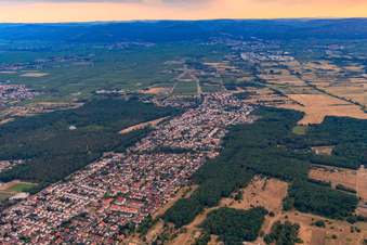 View of the town from the northeast in Maxdorf in the state Rhineland-Palatinate, Germany