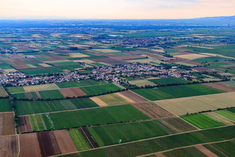 View from the north in the district Rödersheim in Rödersheim-Gronau in the state Rhineland-Palatinate, Germany