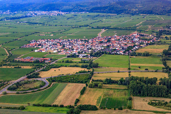 View of the town from the east in Ruppertsberg in the state Rhineland-Palatinate, Germany