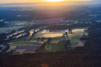 Morning fog over the fields between Speyerbach and Kropsbach in Harthausen in the state Rhineland-Palatinate, Germany